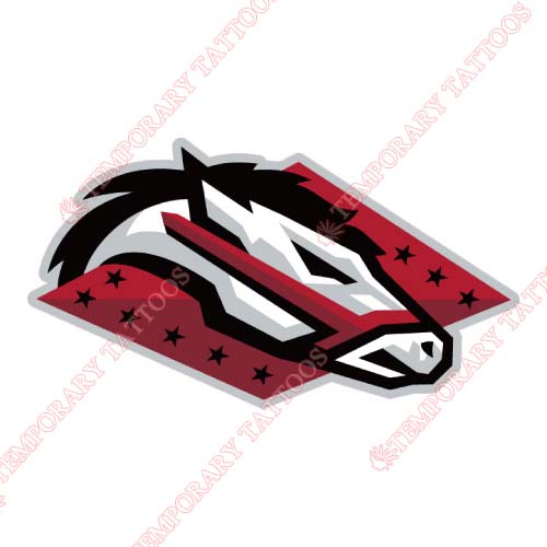 Arkansas Travelers Customize Temporary Tattoos Stickers NO.7759